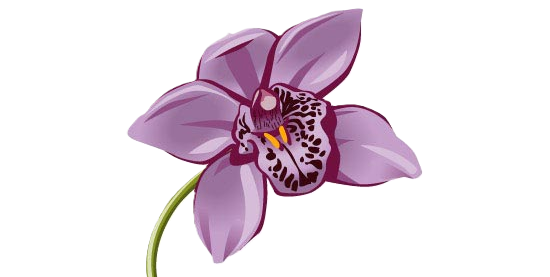 Sophrologie Naturopathie